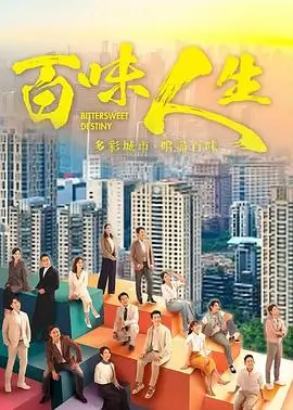 迷雾之城 电视剧 2025